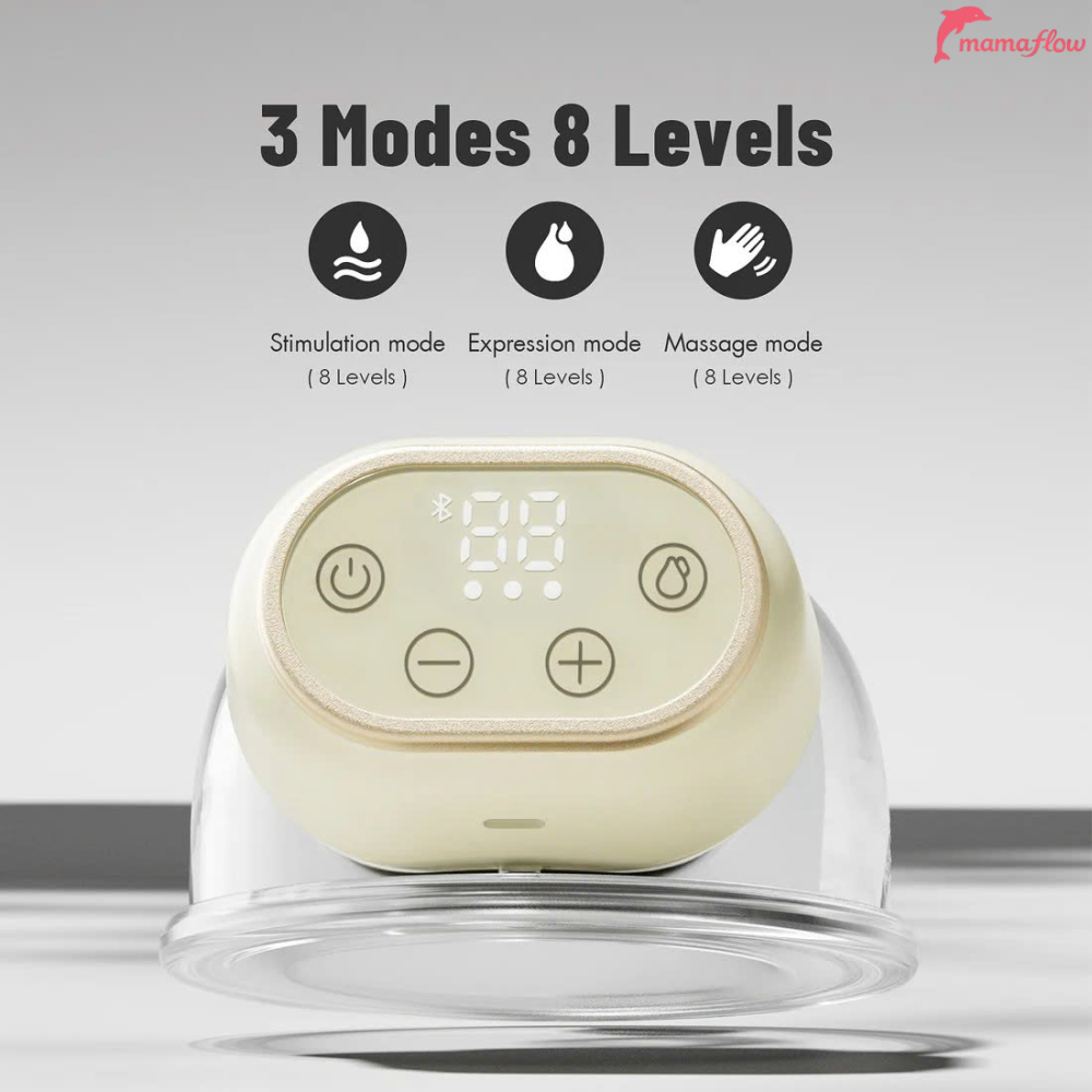 Phanpy E-Joy S2 New Sealed