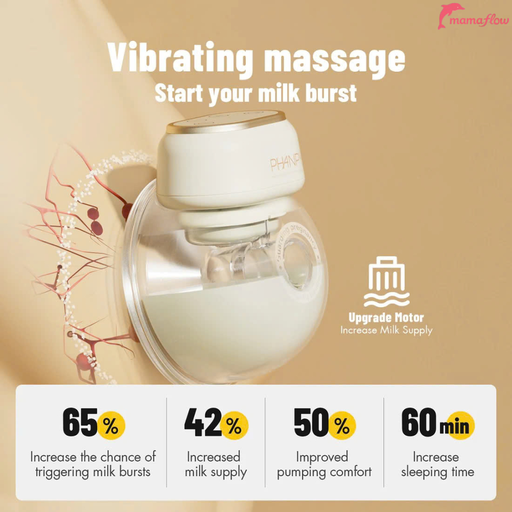 Phanpy E-Joy S2 New Sealed