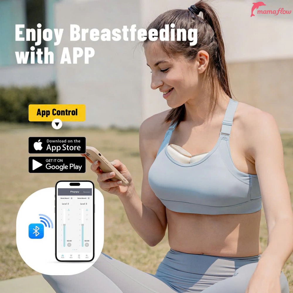 Phanpy E-Joy S2 New Sealed