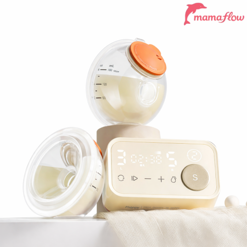 Phanpy  Yichang S3 Bản Cup New Sealed