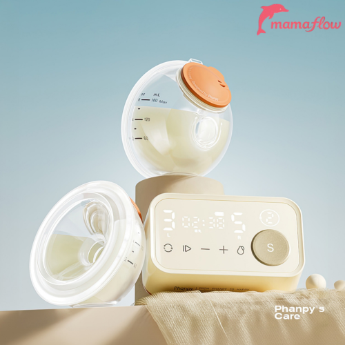 Phanpy  Yichang S3 Bản Cup New Sealed