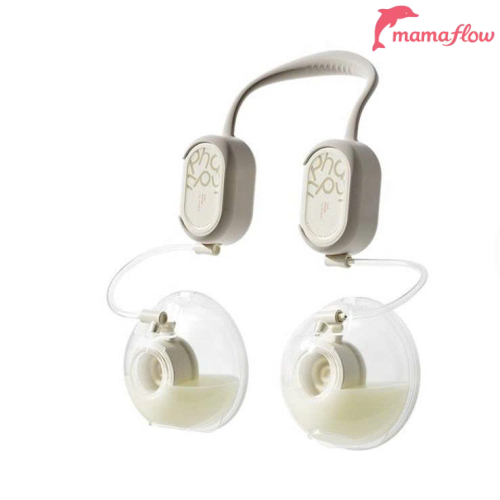 Phanpy Yirou 3 New Sealed 