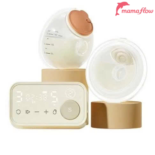 Phanpy  Yichang S3 Bản Cup  Likenew